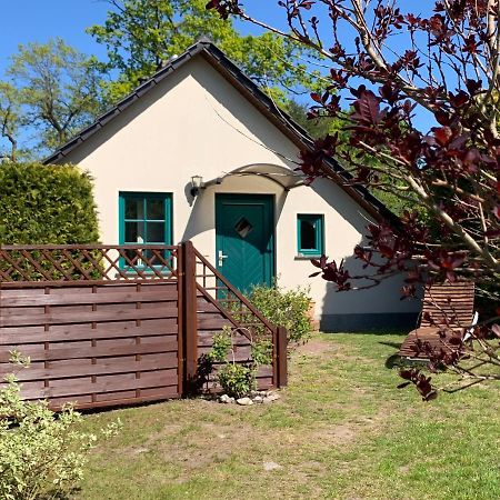 „Rentmeisterhaus Basedow“ Basedow  Εξωτερικό φωτογραφία