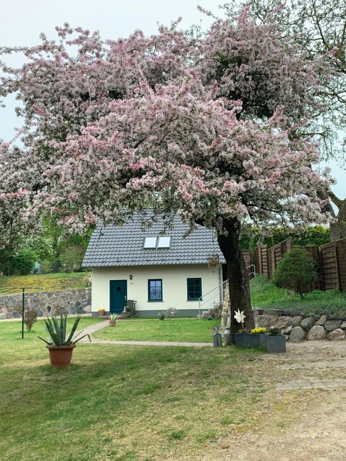 „Rentmeisterhaus Basedow“ Basedow  Εξωτερικό φωτογραφία